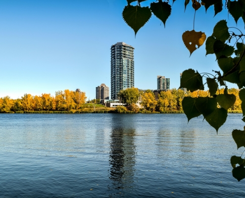 Photo de Nancy Bourque: https://www.pexels.com/fr-fr/photo/immeuble-de-grande-hauteur-pres-des-arbres-2120024/